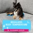 Kép 4/7 - Coolpets Premium Gél Hűsítő Kutyamatrac