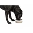 Kép 5/5 - Danish Design FatFace Marching Dogs kerámia tál