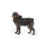 Kép 2/3 - Danish Dog Design Duffle kutyakabátDanish Dog Design Duffle kutyakabát 30 cm