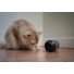 Kép 5/10 - Eat Slow Live Longer Feed and Treat
