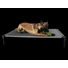 Kép 3/5 - Starmark DogZone ProTraining ágy