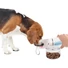 Kép 3/5 - AFP Lifestyle 4 Pets Rozsdamentes 2in1 Etető-, Itatópalack