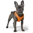 Kép 5/6 - Hunter Harness Hilo