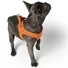 Kép 6/6 - Hunter Harness Hilo