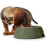 Kép 2/5 - Hunter Bowl Melamine