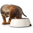 Kép 4/6 - Hunter Bowl Melamine