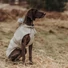 Kép 9/10 - Hunter Milford esőkabát kutyáknak