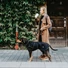 Kép 7/8 - Hunter Uppsala Softshell Szél- és Vízálló Kutyakabát