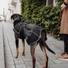 Kép 8/8 - Hunter Uppsala Softshell Szél- és Vízálló Kutyakabát