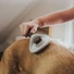 Kép 3/7 - Hunter Spa Öntisztuló Szőreltávolító Kefe Kutyáknak
