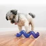 Kép 2/3 - Kong Treat Spiral Stick Assorted