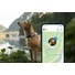 Kép 4/6 - Tractive GPS DOG XL Adenture Edition Nyomkövető és Aktivitásmérő Nagytestű Kalandor Kutyáknak