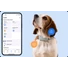 Kép 2/6 - Tractive GPS DOG 6 Nyomkövető és Aktivitásmérő kutyáknak