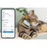 Kép 2/6 - Tractive GPS CAT Mini Nyomkövető és Aktivitásmérő macskáknak Mint