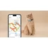 Kép 4/6 - Tractive GPS CAT Mini Nyomkövető és Aktivitásmérő macskáknak Mint