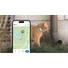 Kép 5/6 - Tractive GPS CAT Mini Nyomkövető és Aktivitásmérő macskáknak Mint