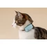 Kép 6/6 - Tractive GPS CAT Mini Nyomkövető és Aktivitásmérő macskáknak Mint