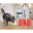 Kép 5/14 - West Paw &quot;The Dog Best Friend&quot; Kutyás Társasjáték