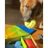 Kép 9/14 - West Paw &quot;The Dog Best Friend&quot; Kutyás Társasjáték