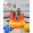 Kép 12/14 - West Paw &quot;The Dog Best Friend&quot; Kutyás Társasjáték