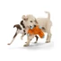Kép 4/6 - West Paw Rowdies® 