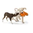 Kép 5/6 - West Paw Rowdies® 